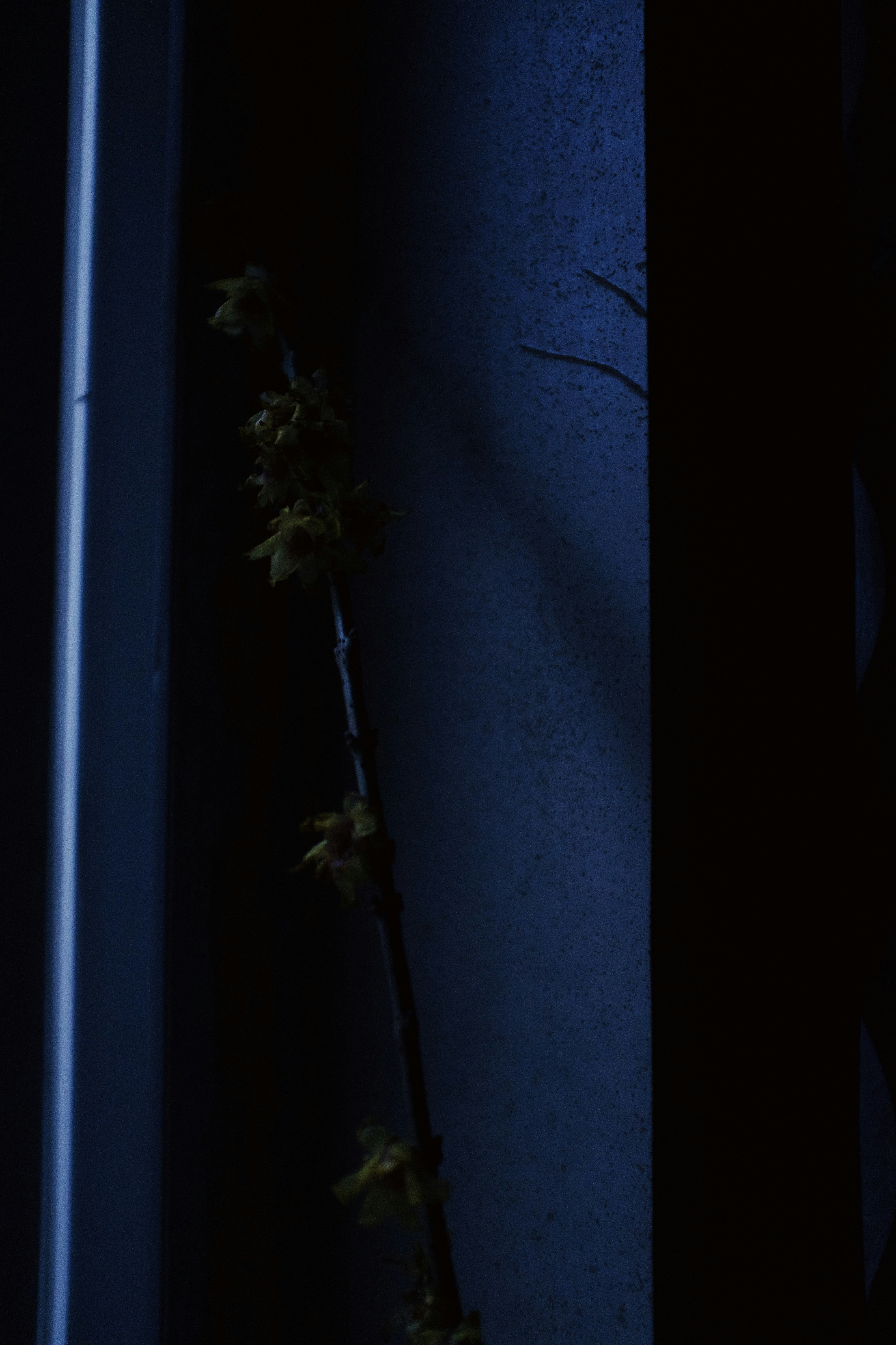 Photo by kennyzhang29