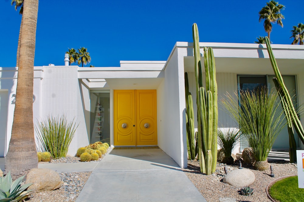 white wooden door near green plants during daytime