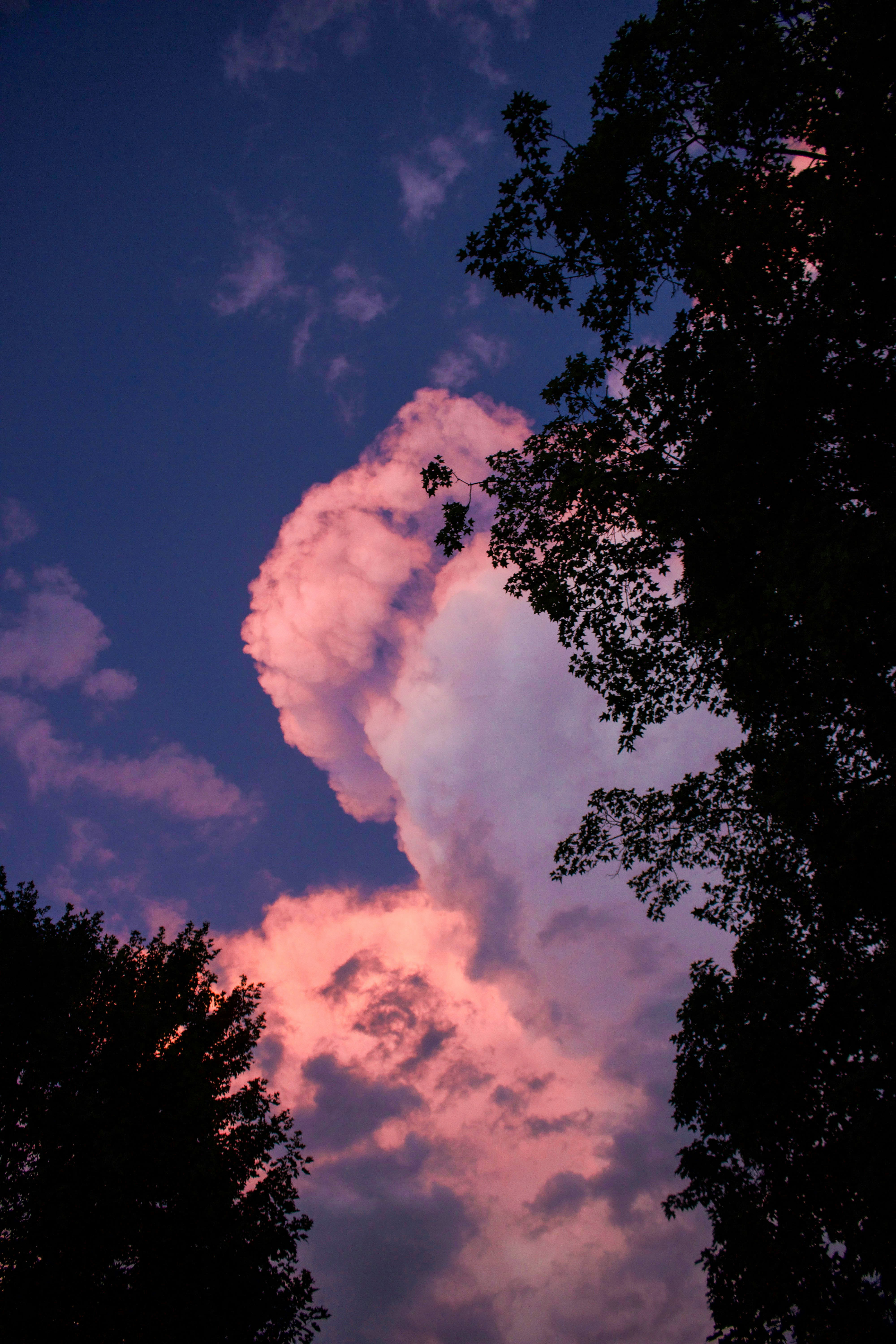 Photo by eternalseconds