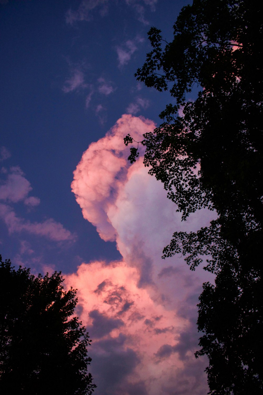 silhouette of trees under blue sky and white clouds during daytime