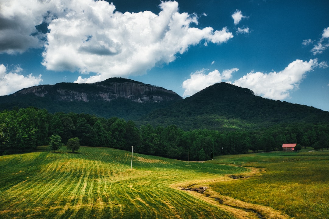 green grass field near mountain under blue sky during daytime