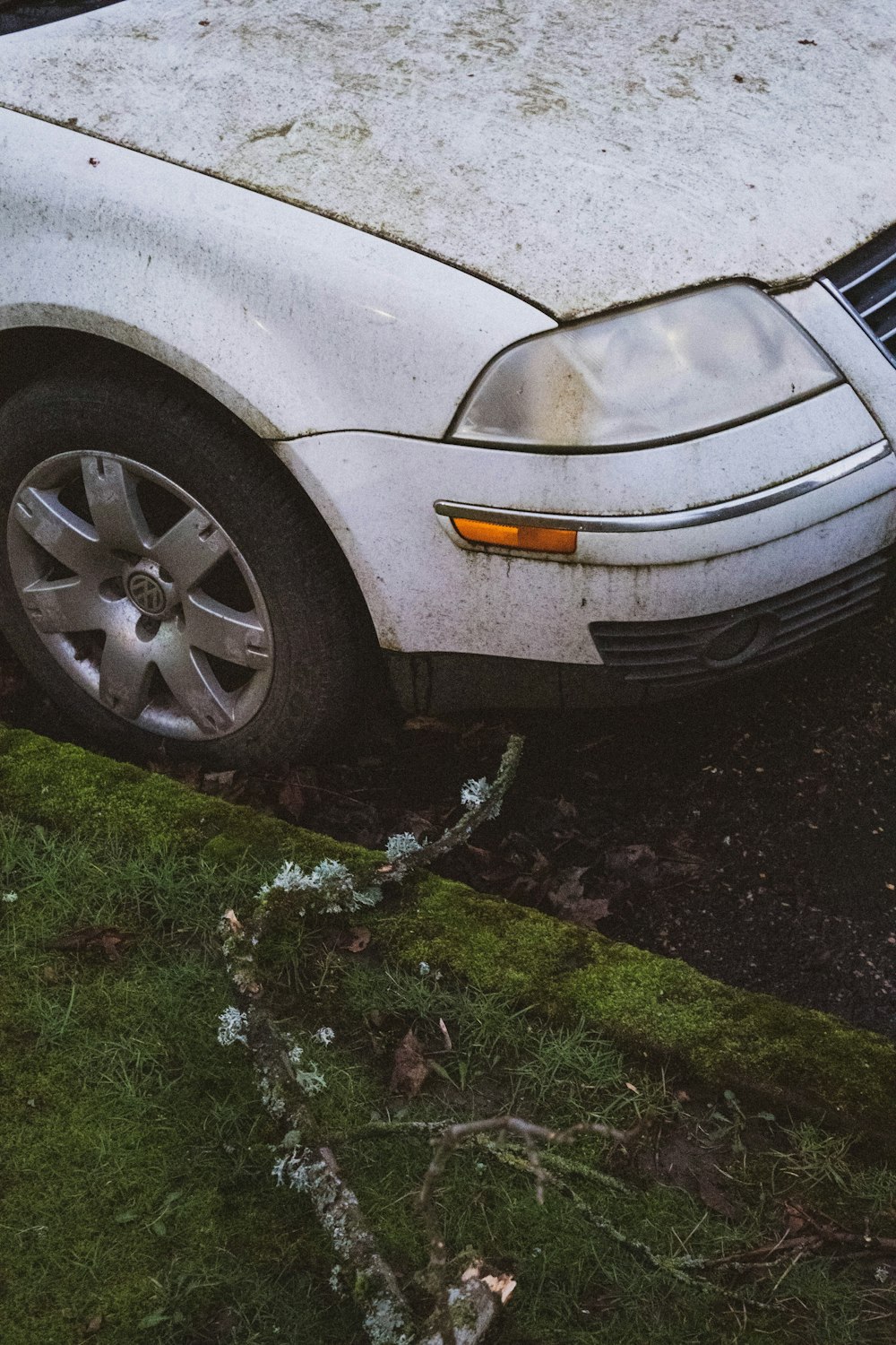 white car on green grass