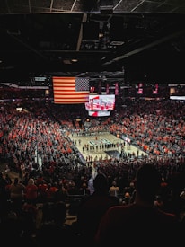 people watching a band on a concert