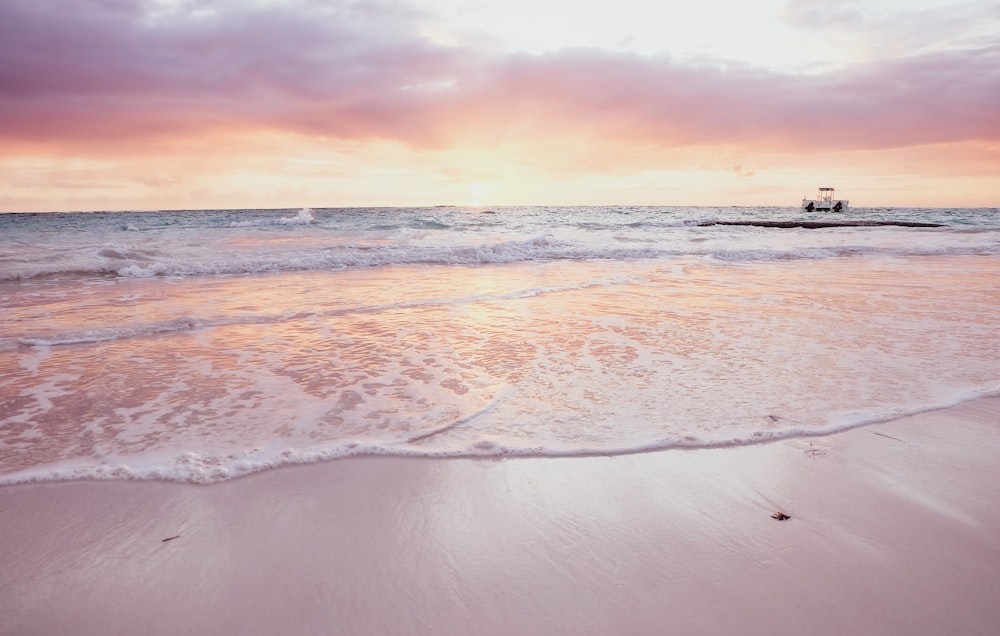 people on beach during sunset