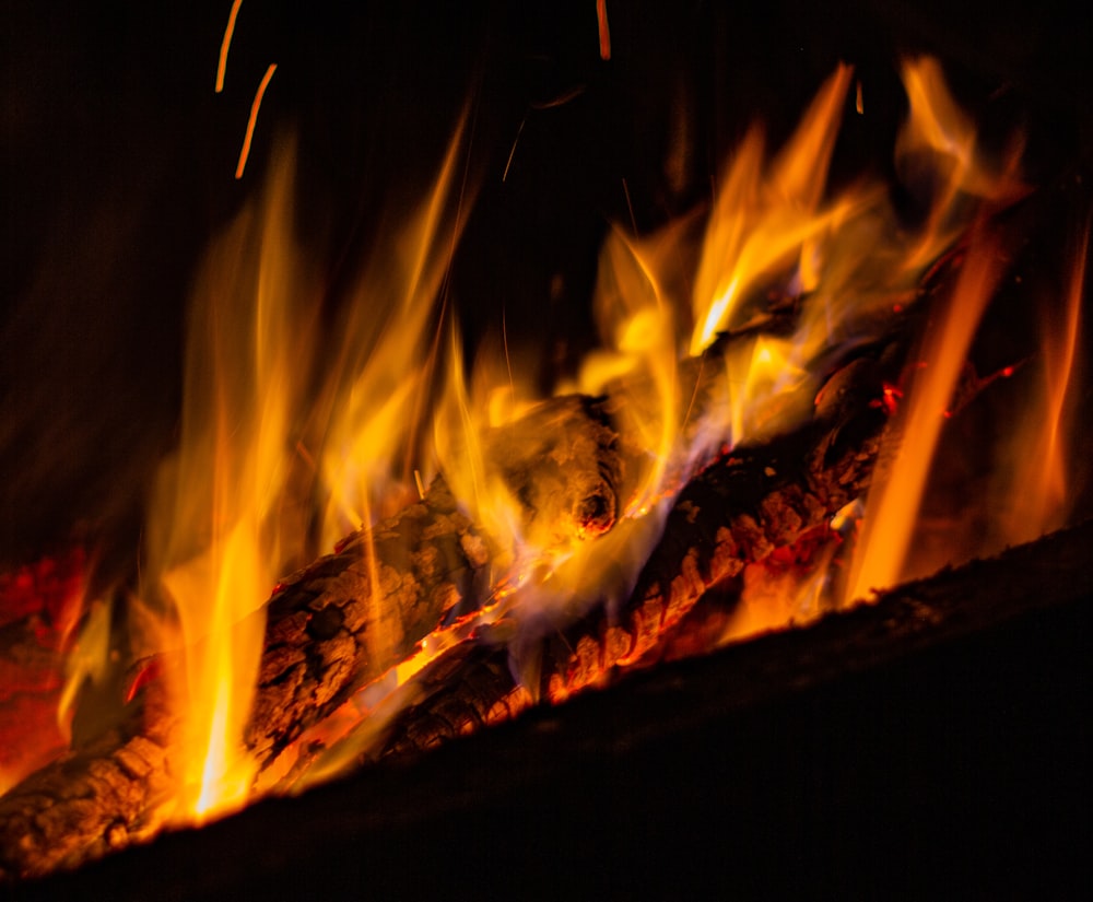 burning wood in fire pit