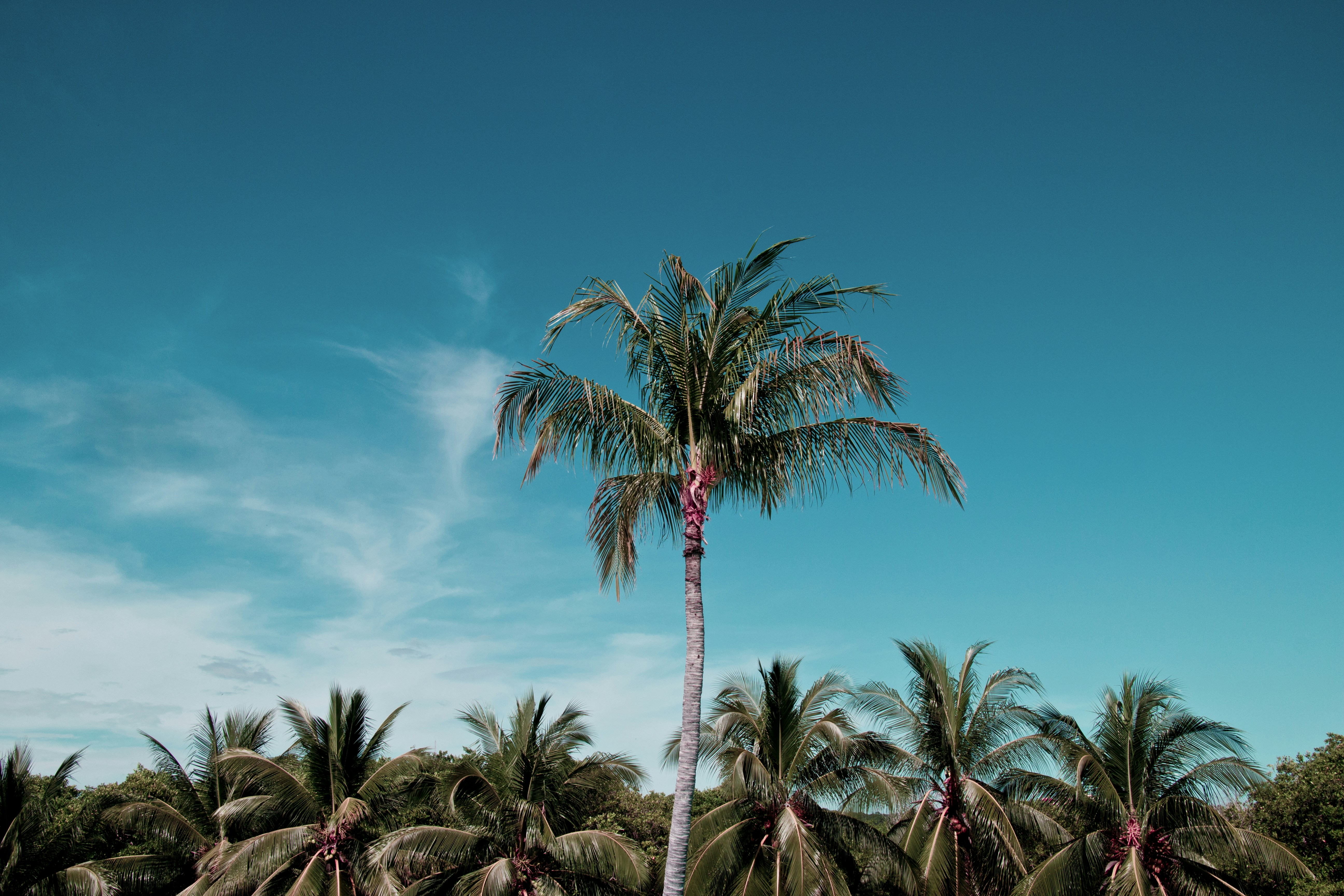 Photo by eduardocanophotoco