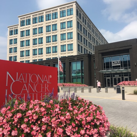 A large office building with multiple floors, featuring a prominent entrance. In the foreground, a red sign displays 'National Cancer Institute' amidst a bed of vibrant pink flowers. An American flag is situated near the entrance, alongside some greenery. A person is walking towards the entrance.