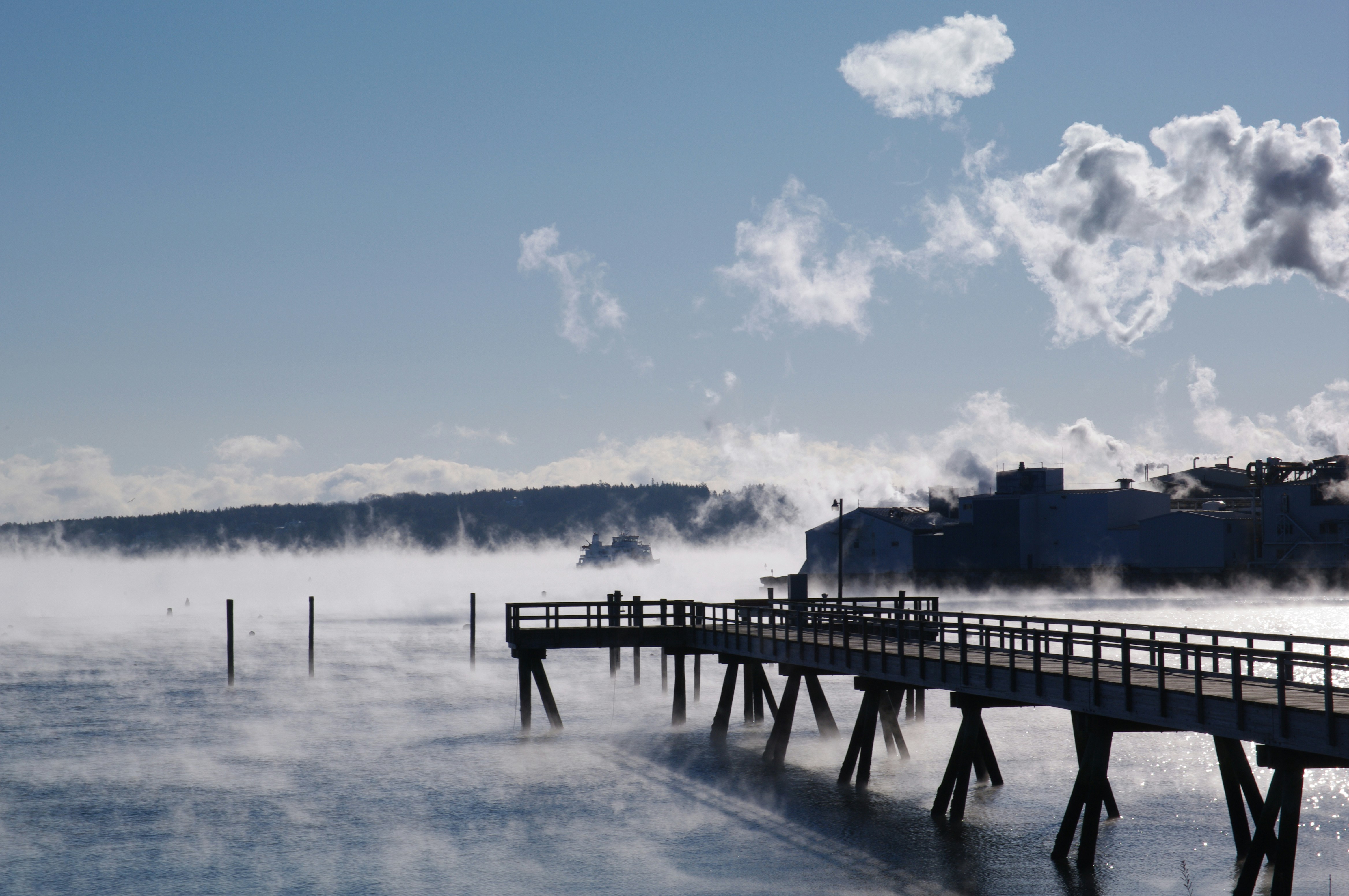 A very cold and windy day in January. The sea smoke was spectacular.