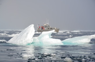 A boat is navigating through an icy sea, surrounded by floating icebergs of various sizes. The sea is covered with patches of ice, while the background is shrouded in mist or fog, creating a serene and desolate atmosphere.