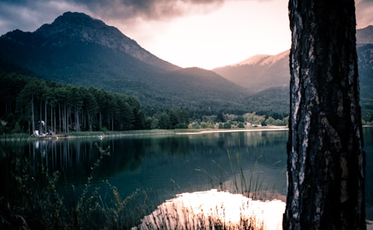 green trees beside lake during daytime in Lake Doxa Greece