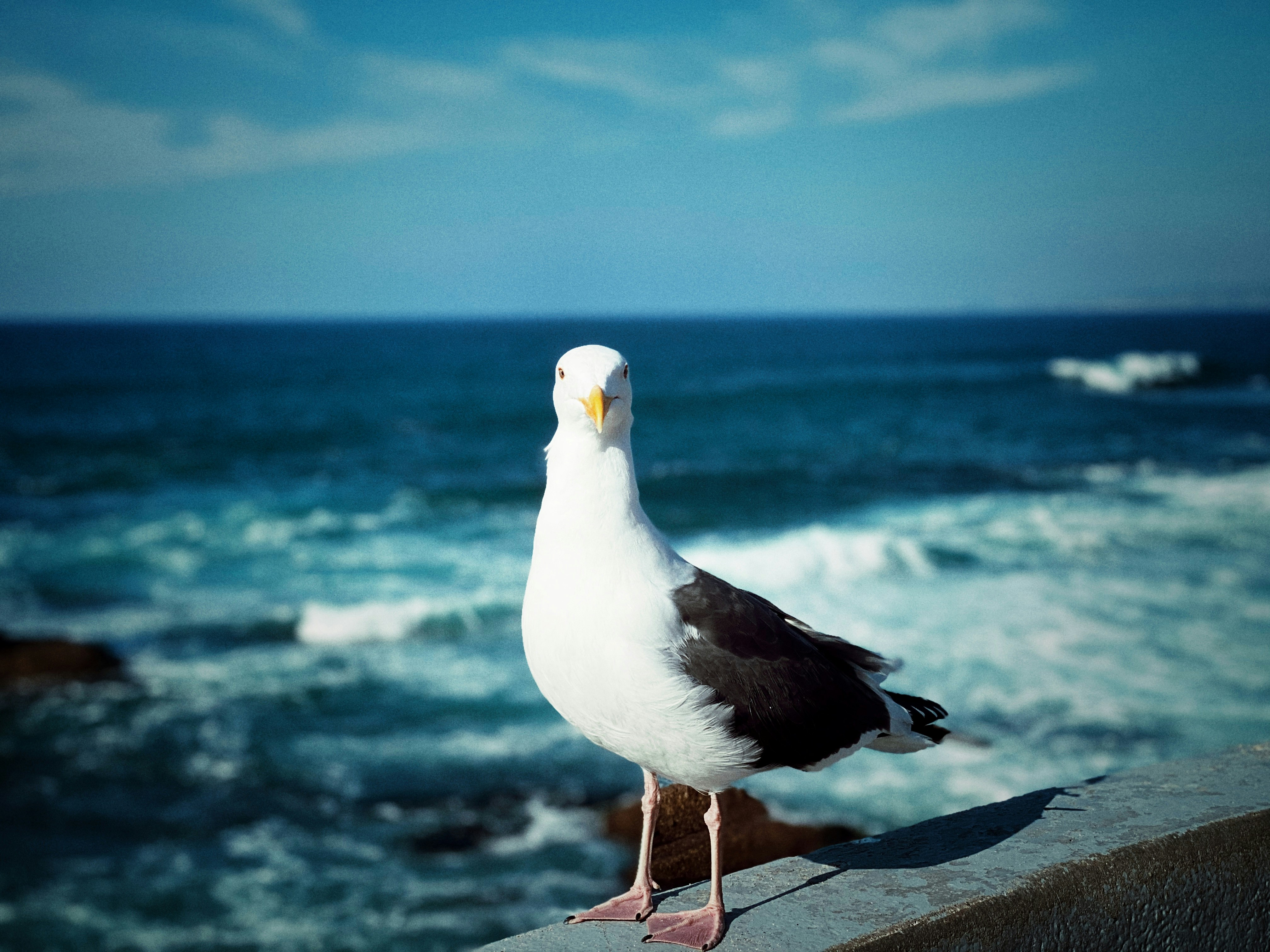 Photo by oldmano3a