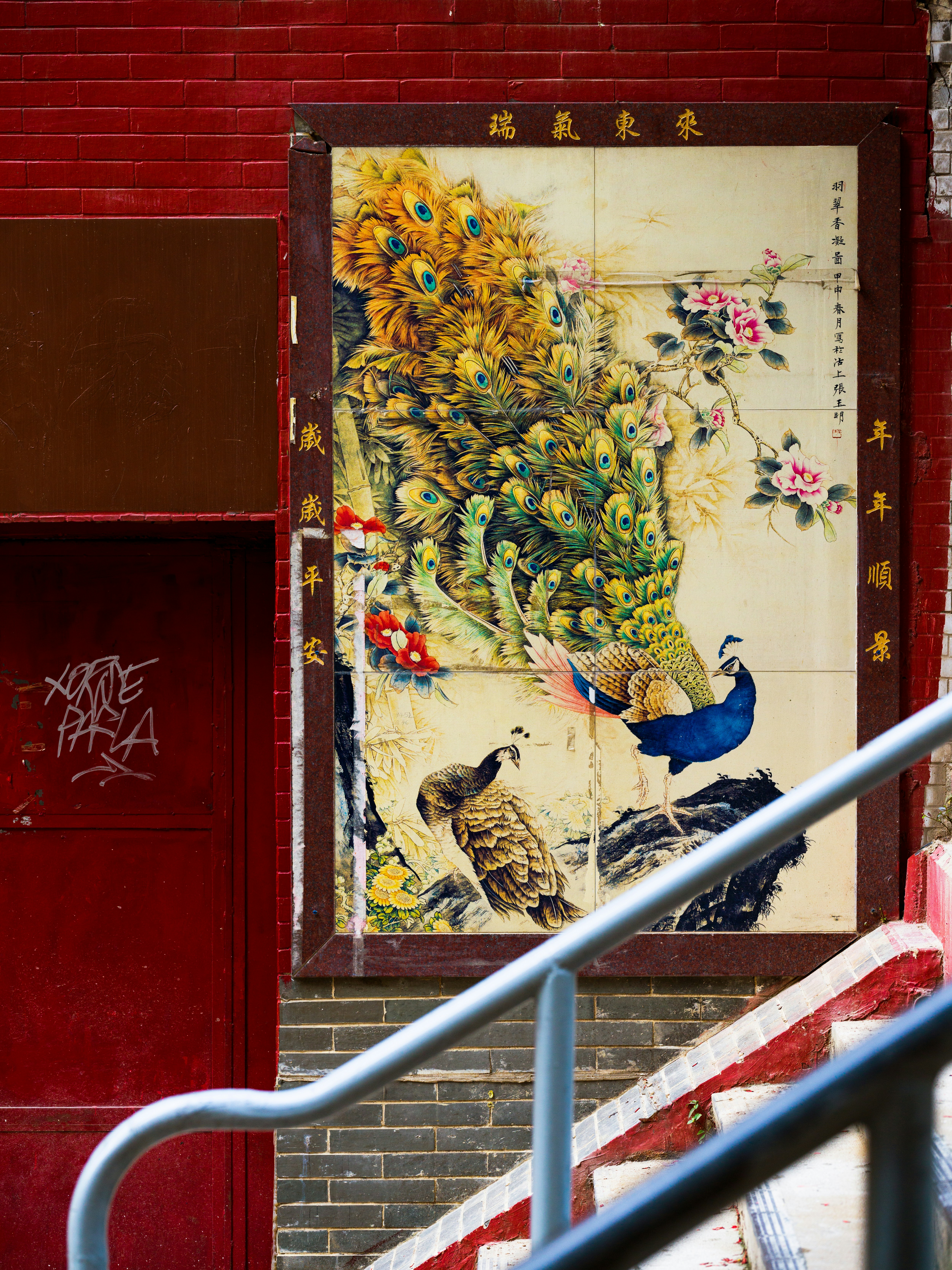 Photo by alicemourou