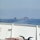 white and black ship on sea during daytime