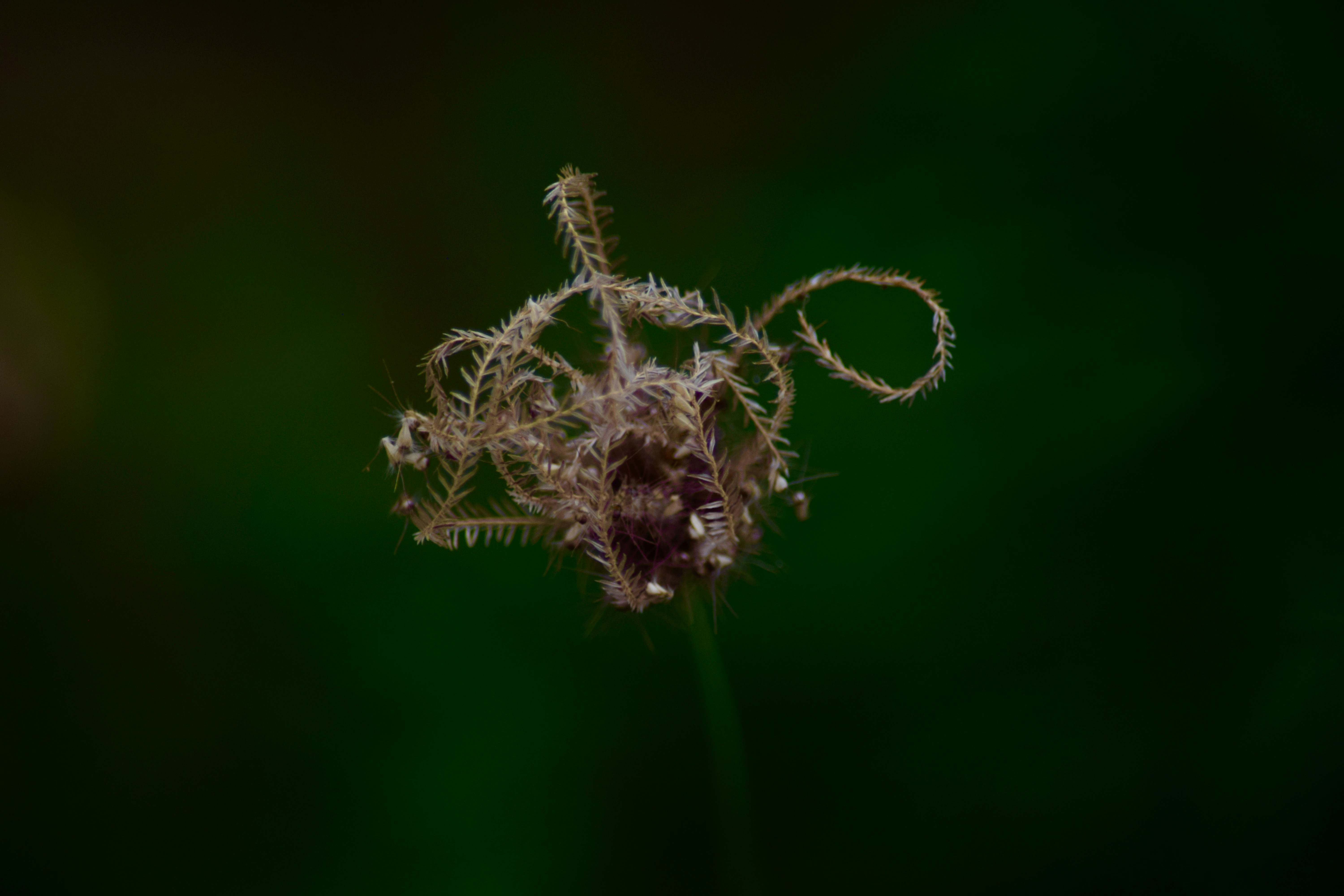 Photo by rrajputphotography