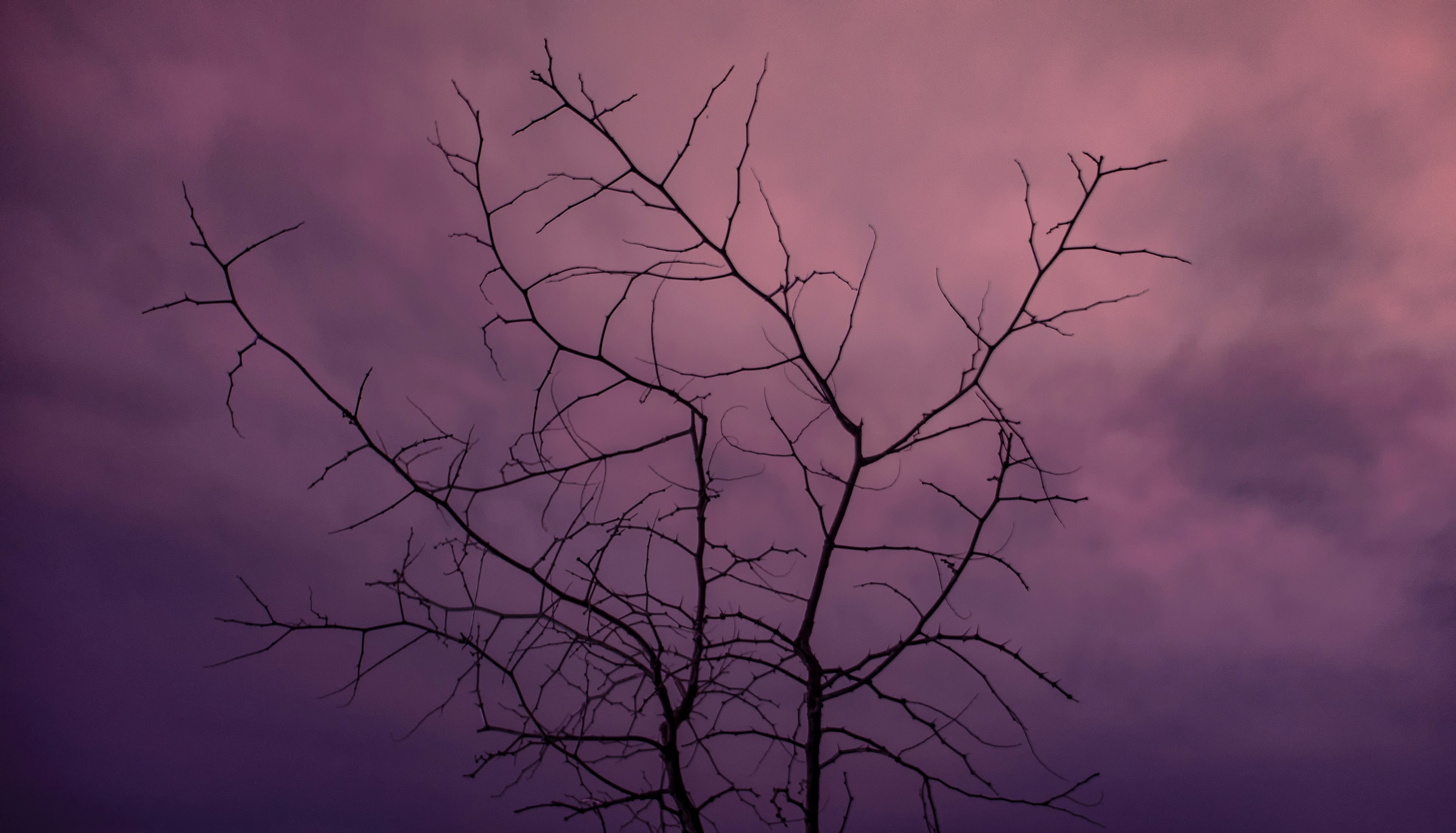 Photo by lurenjiasworld