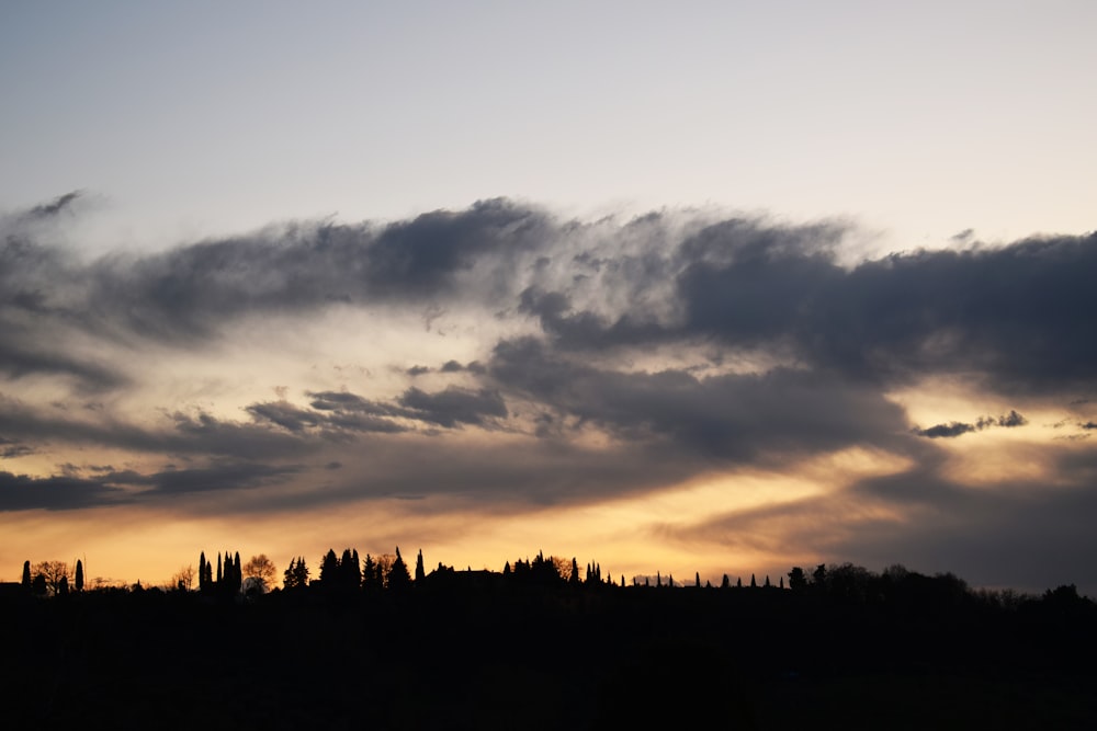 silhouette d’arbres sous un ciel nuageux au coucher du soleil