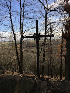 Faith's Journey
