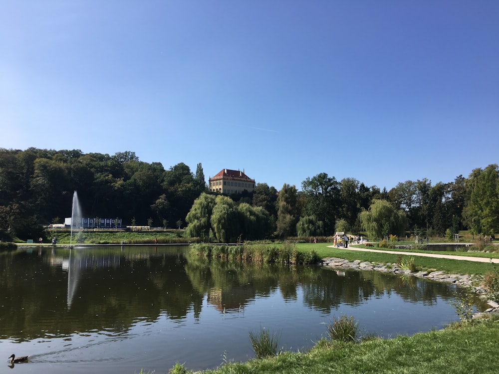 green trees near body of water during daytime