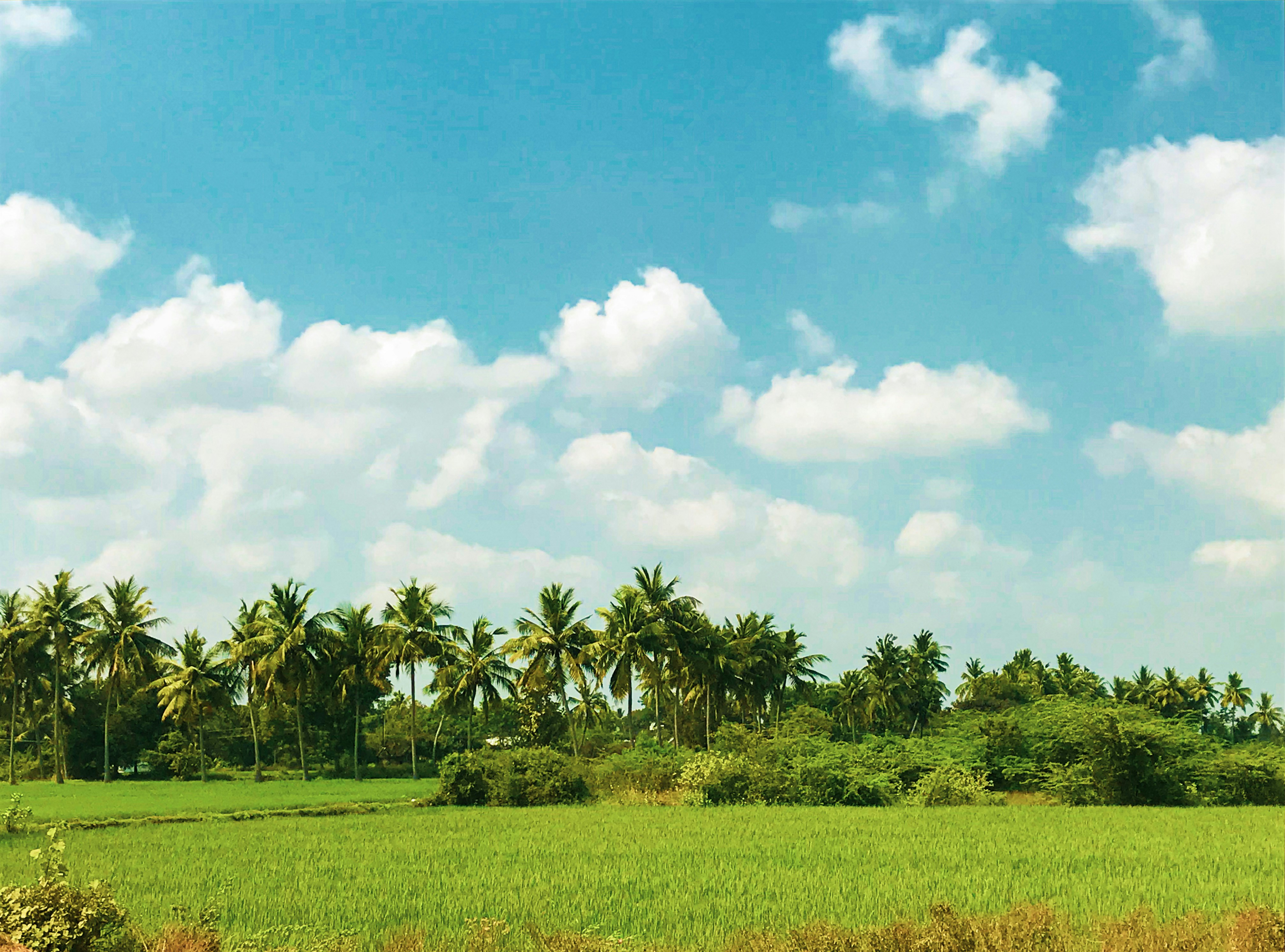 Photo by arptrastogi