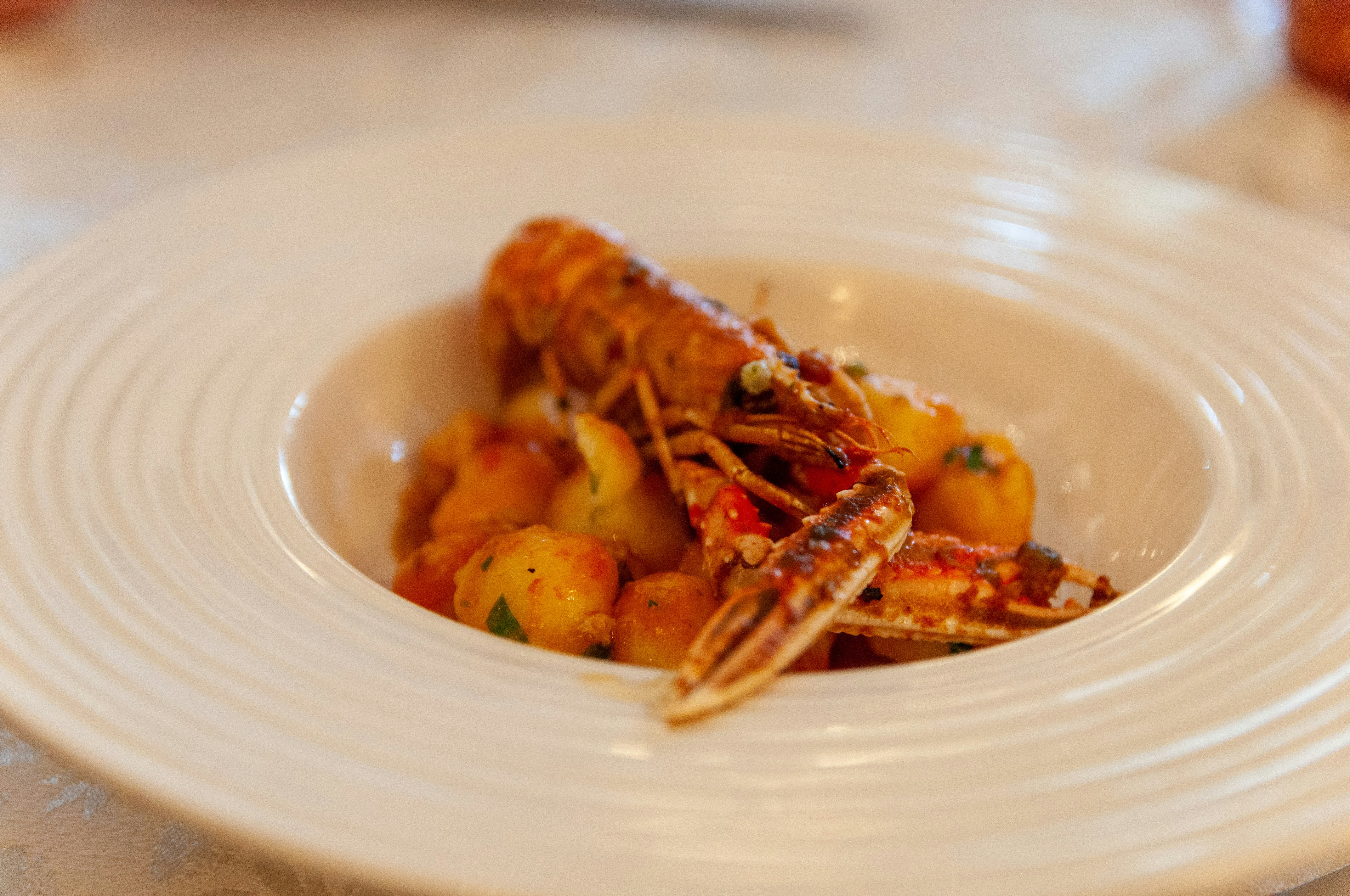 cooked shrimp on white ceramic plate, Gnocchi with tomato sauce and scampi. Italian dish.