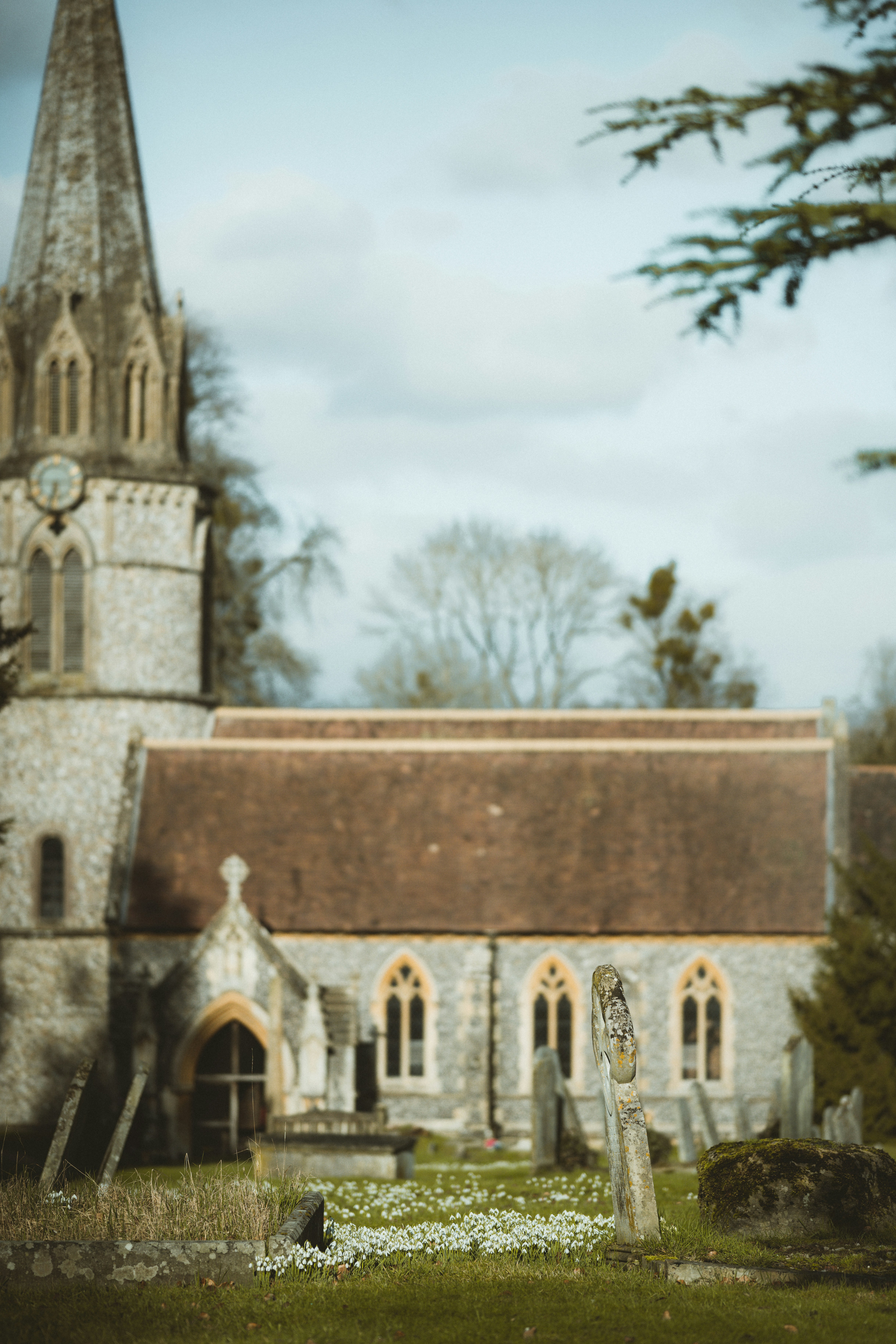 Photo by anniespratt