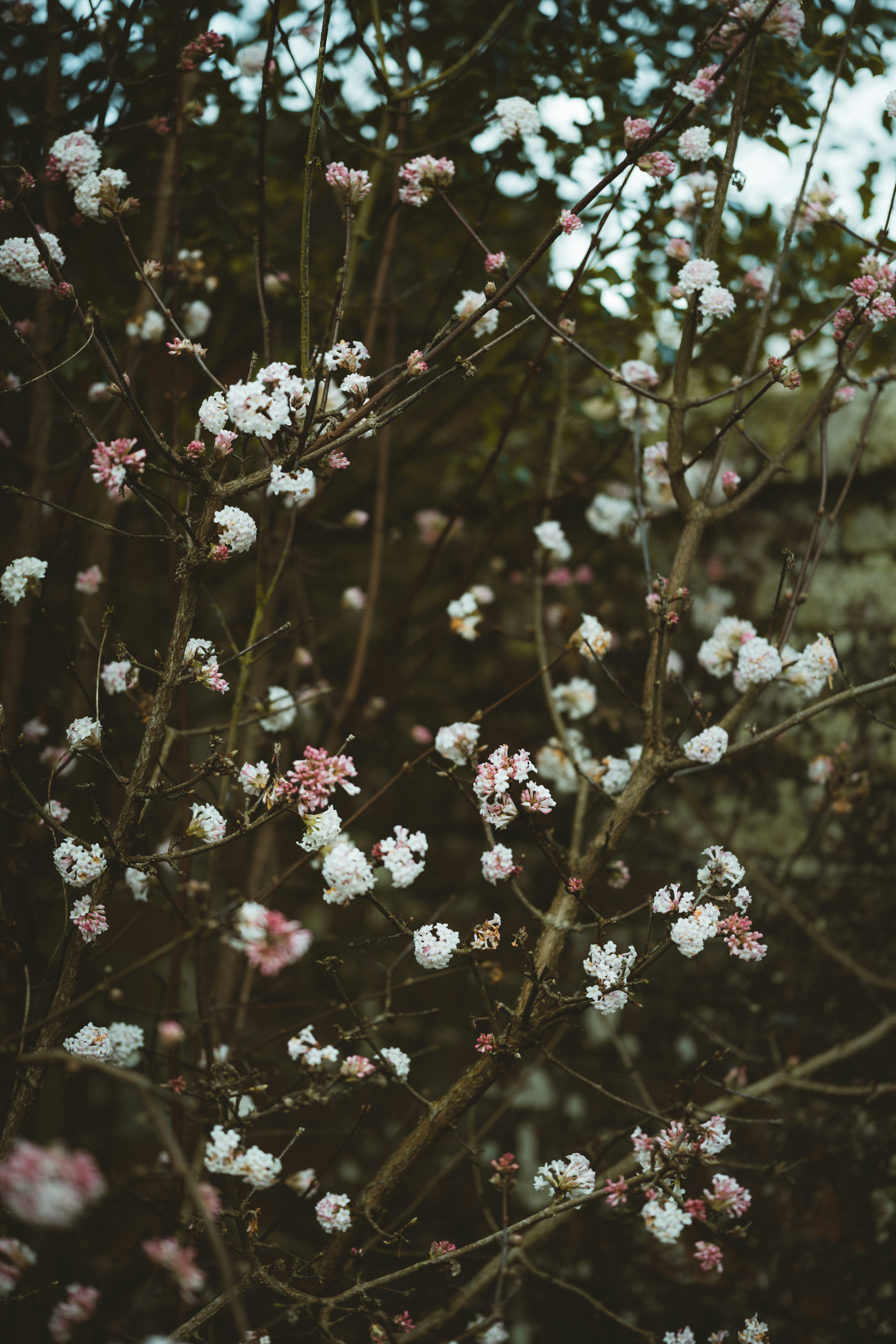 Photo by anniespratt