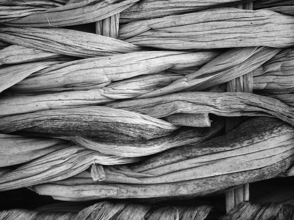 grayscale photo of a wood