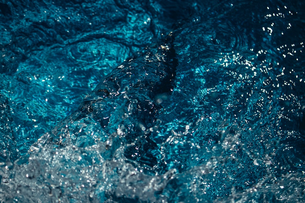 water splash in close up photography