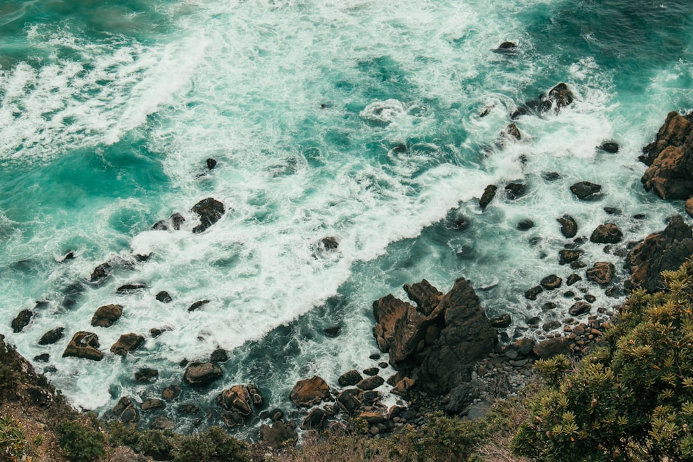 brown rocks on seashore during daytime