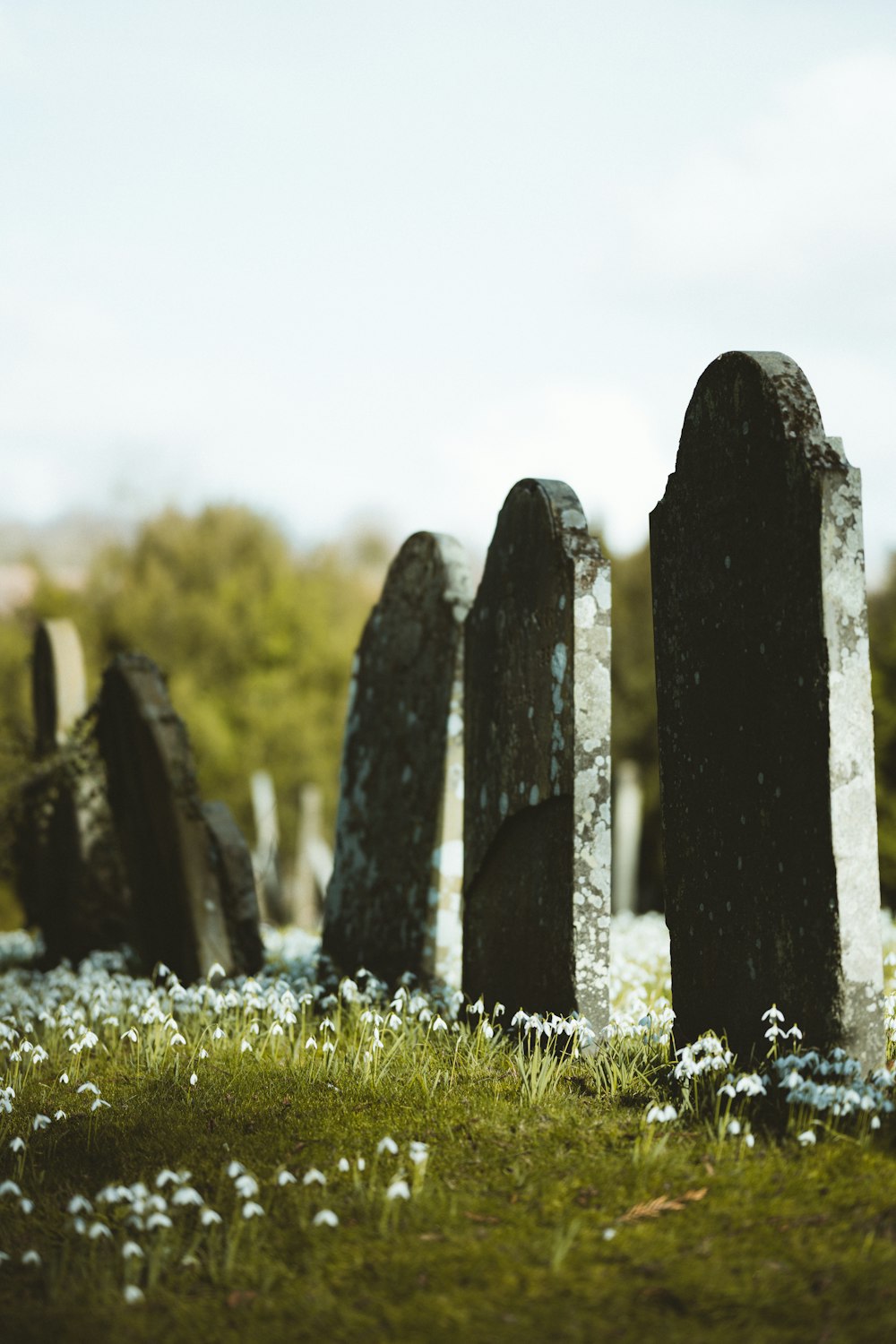 black and gray stone on green grass field during daytime