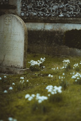 A weathered tombstone stands in a cemetery surrounded by lush green grass and clusters of white flowers. The stone features engraved writing and is set against a darker, textured stone backdrop. The atmosphere is serene and reflective.