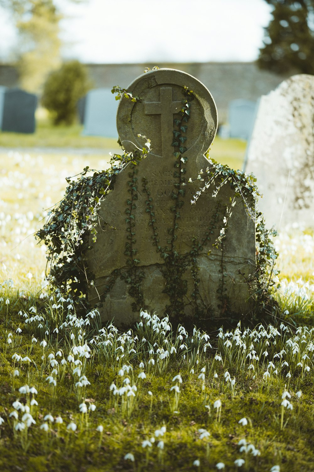 grey concrete statue on green grass field during daytime