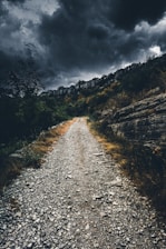 A rugged survivor cautiously navigating a dense, shadowy forest under a stormy sky.