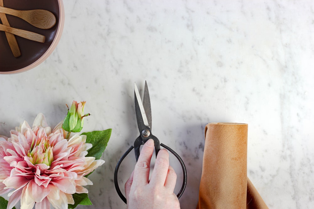 person holding black handled scissors