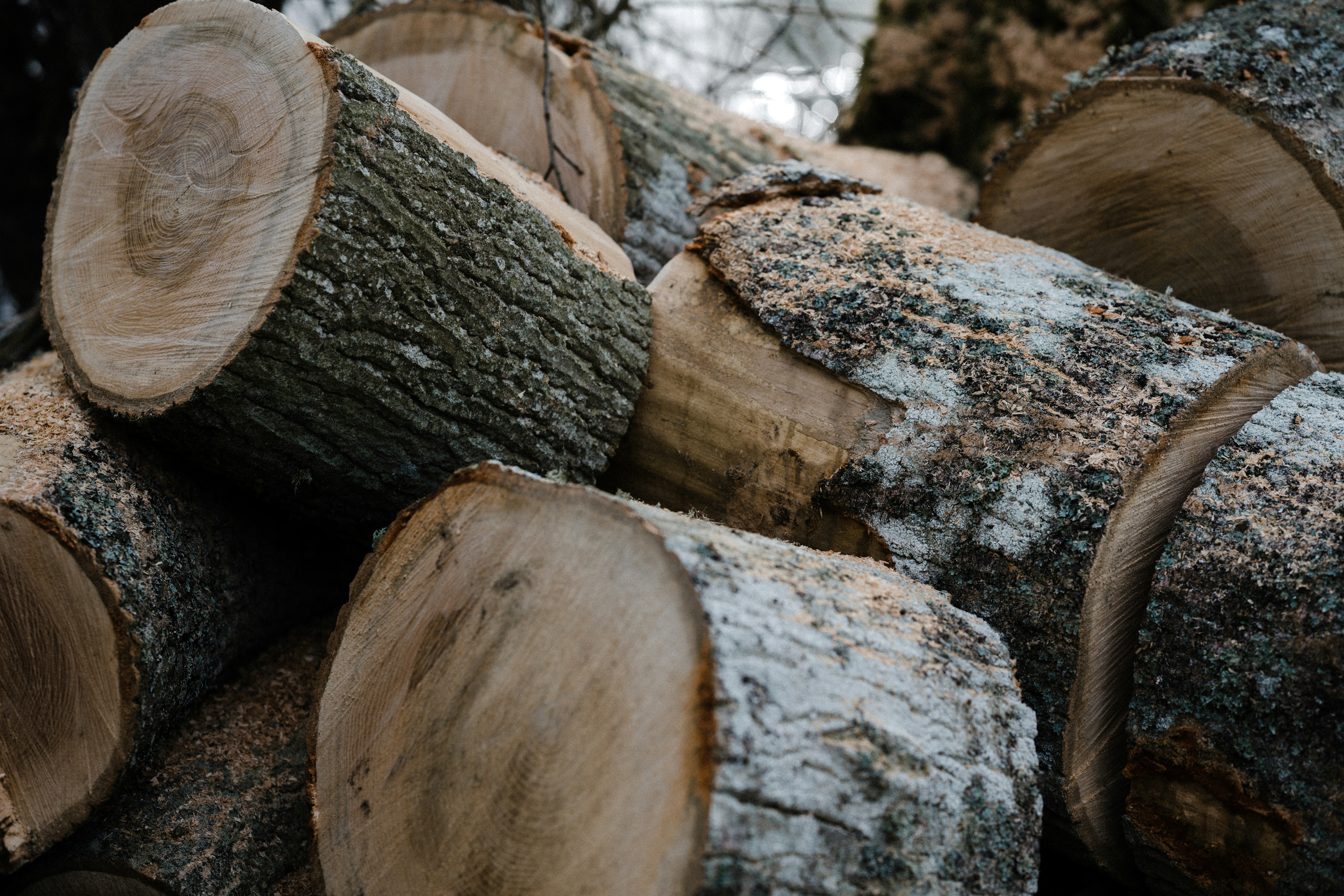 Photo by anniespratt