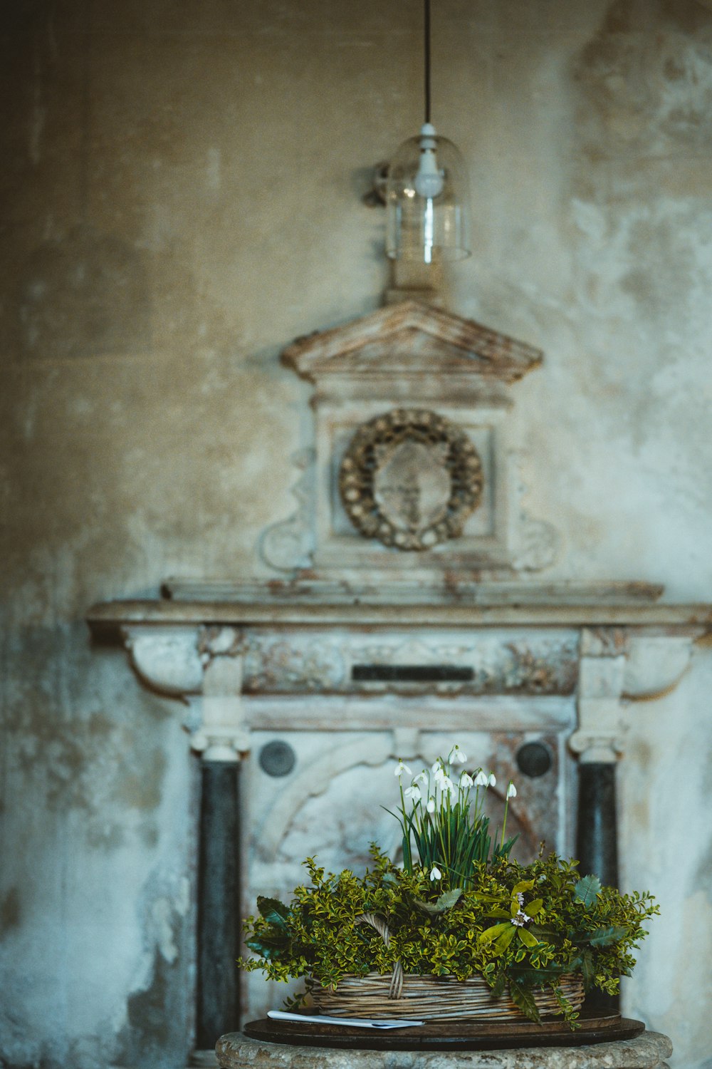 white concrete church with green plants