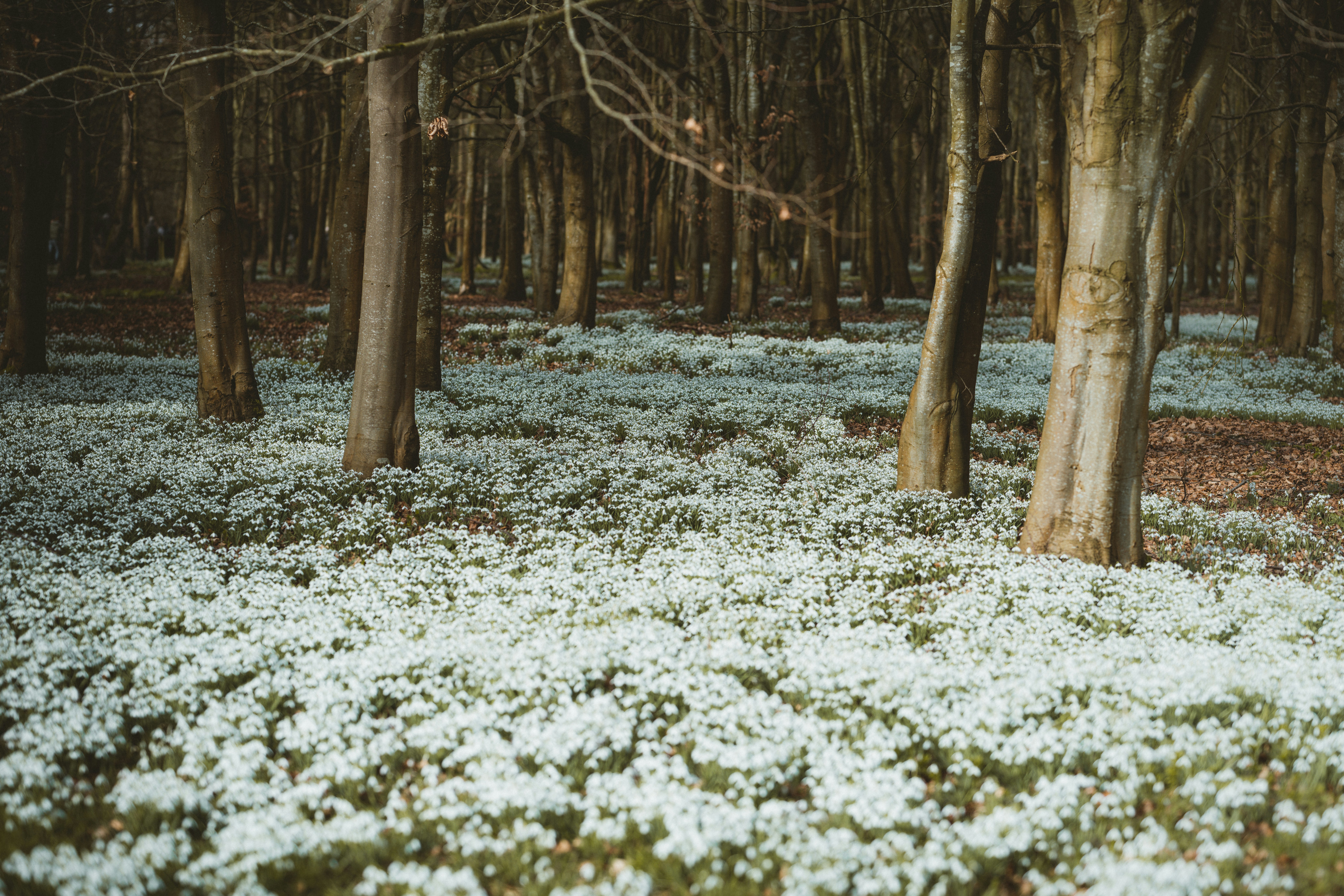 Photo by anniespratt