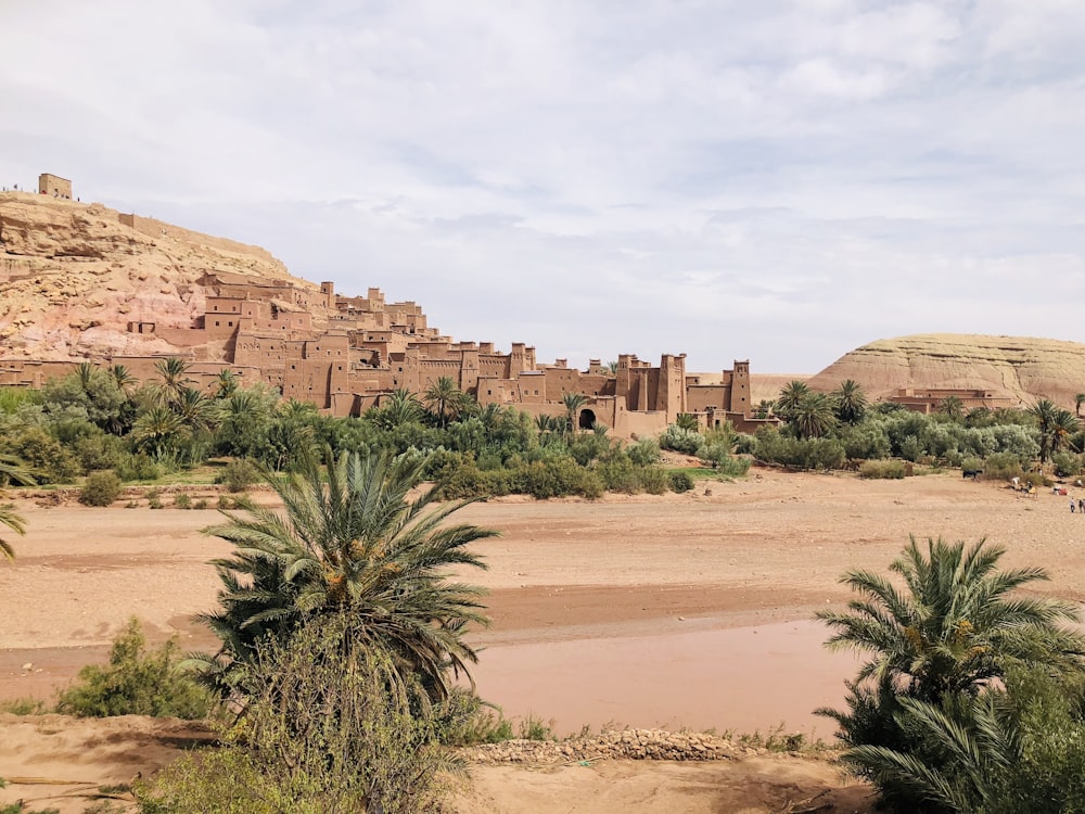 green palm tree near brown rock formation during daytime