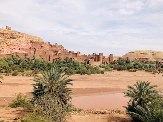 green palm tree near brown rock formation during daytime in Aït Benhaddou Morocco