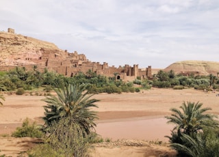 green palm tree near brown rock formation during daytime