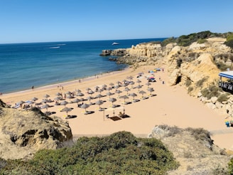 people on beach during daytime