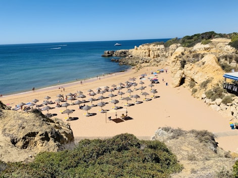 people on beach during daytime