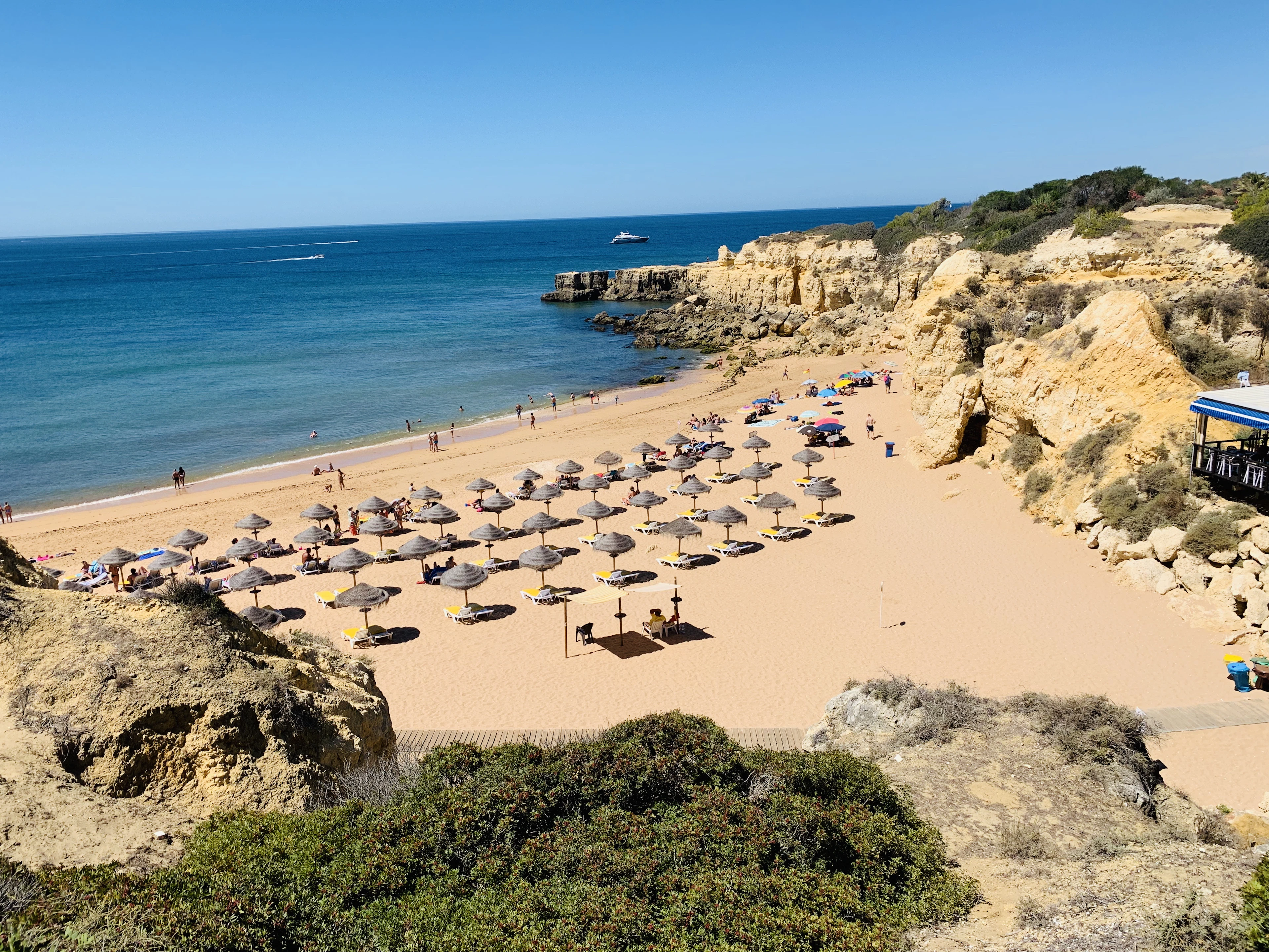 Aerial view of an Algarve beach cove with rows of cream umbrellas between golden cliffs and turquoise sea.