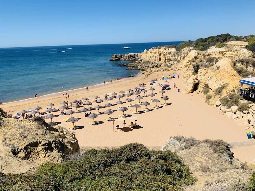 people on beach during daytime