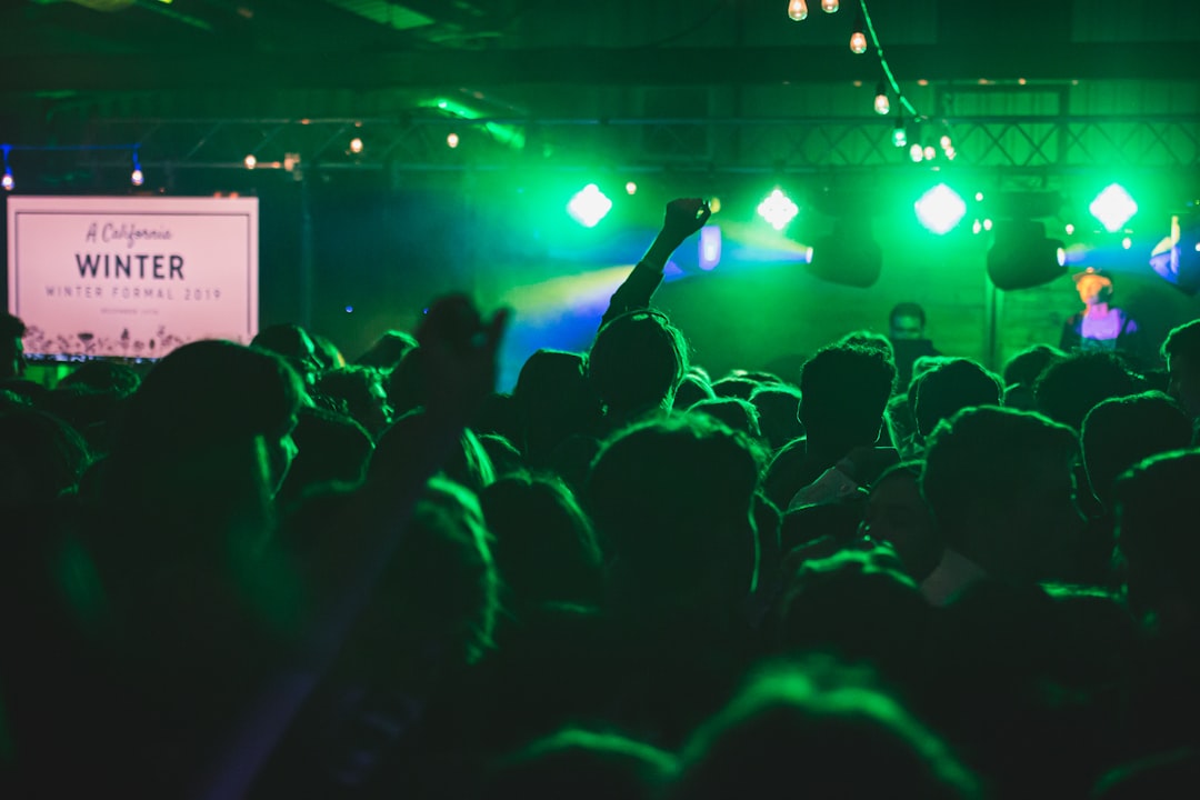 people watching concert during night time