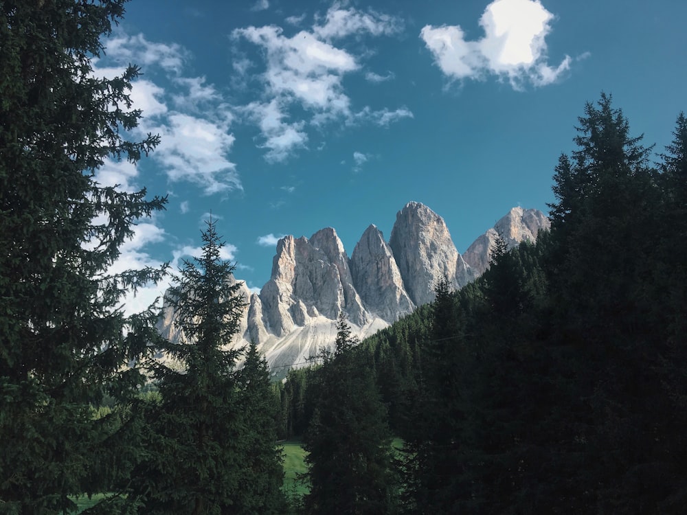 green trees near mountain under blue sky during daytime