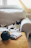 A cozy living room scene with a sleek black and white cat gadget and a playful tabby cat.