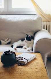 A cozy indoor scene featuring a black and white cat lounging on a white couch. In the foreground, a dark ceramic vase and a closed book with a string of wooden beads are placed on a textured table. Soft natural light filters through a sheer curtain, creating a warm and inviting atmosphere.