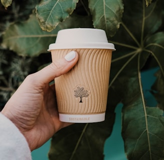 person holding white and brown coffee cup