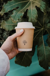person holding white and brown coffee cup